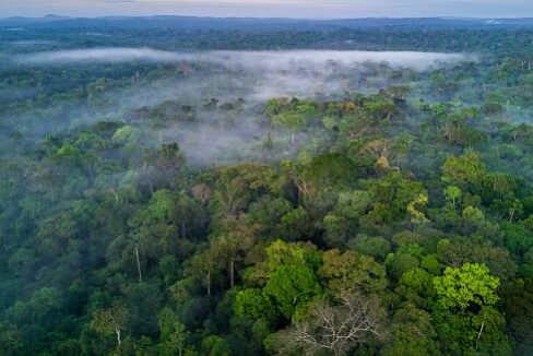 Fazenda no Mato Grosso com 5.000ha