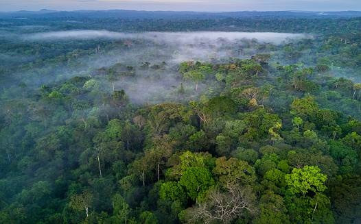 Fazenda no Mato Grosso com 5.000ha
